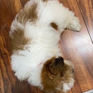 Meet your Posher, Patricia